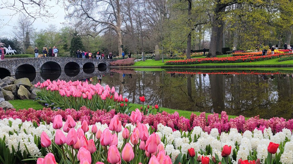 Tiptoeing Through the Tulips