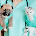 Kitten and Puppy Wellness at Pawsitive Animal Hospital