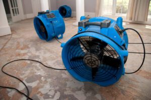 Water Damage-Homewatch Steamboat