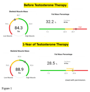 Wellesley Testosterone graph chart testesterone