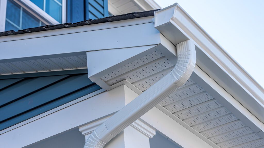 What Your Gutters Might Be Hiding (and Why It Could Cost You)