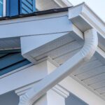 What Your Gutters Might Be Hiding (and Why It Could Cost You)