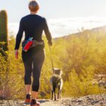 Snake Bites and Summer Walks: Keeping Your Dog Safe
