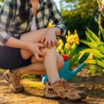 Top 3 Summer Pests