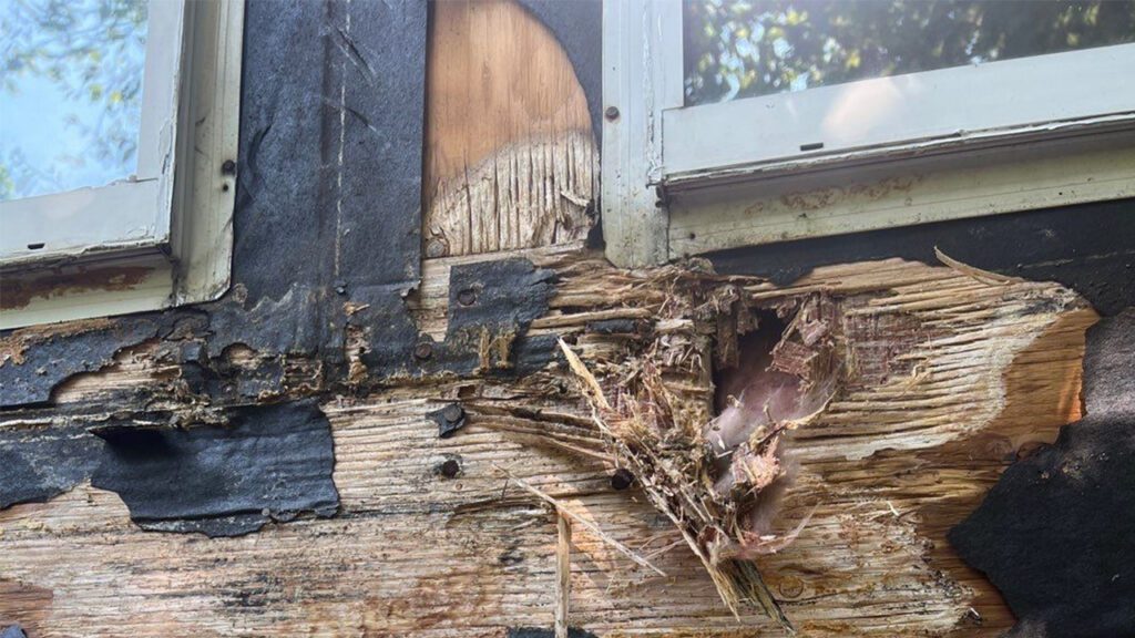 Wood rot siding George Apap Painting