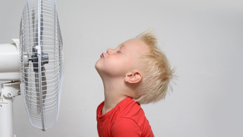 The Dangers of Florida’s Heat and How Joyous Jungle Helps You Stress Less