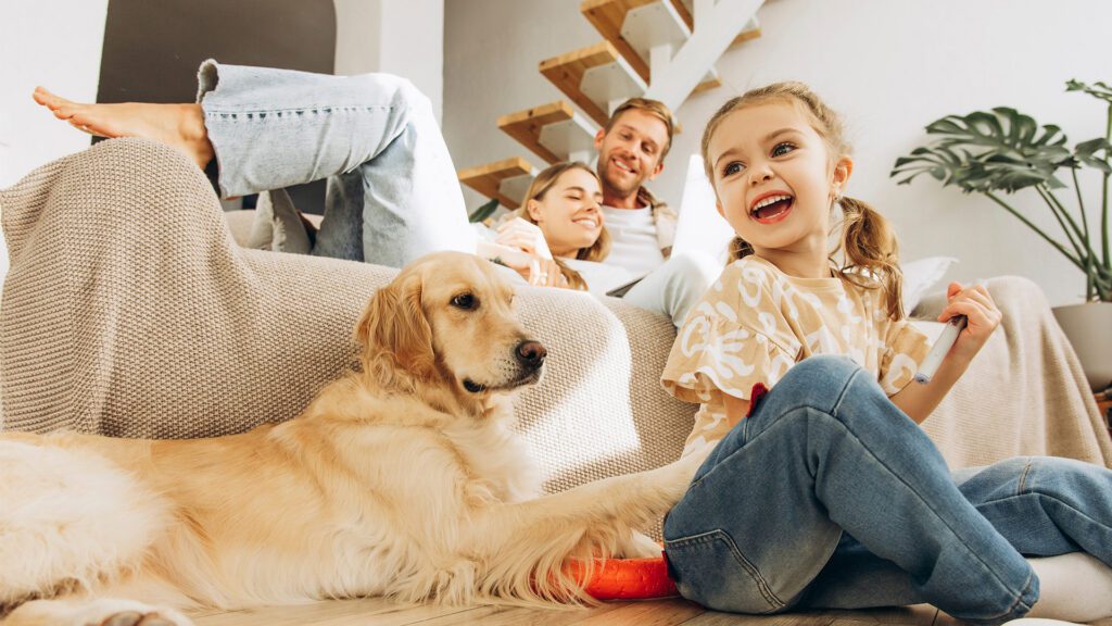 Creating a Pet-Friendly Home Without Sacrificing Style