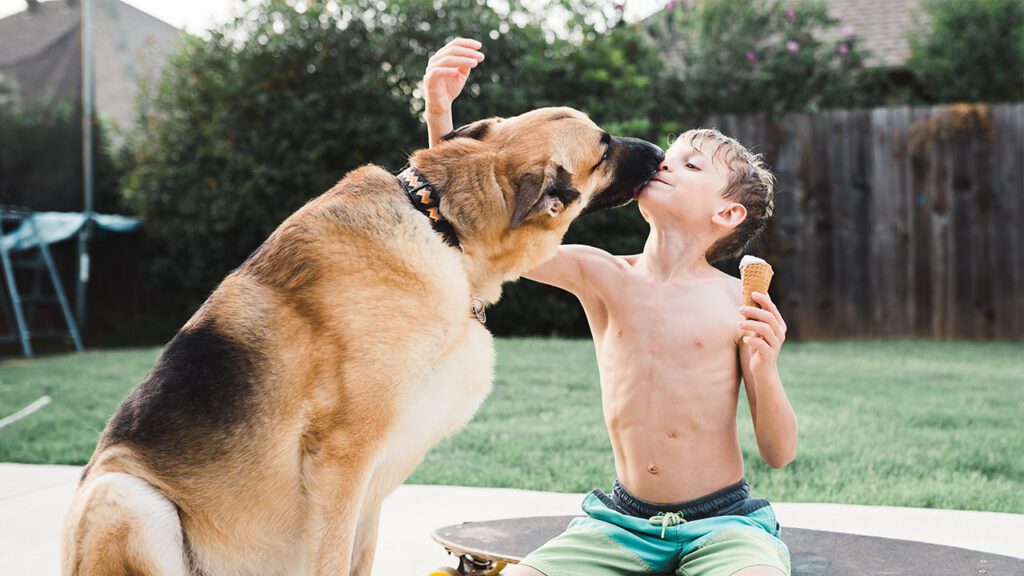 Why Shaving Double-Coated Dogs Can Do More Harm Than Good