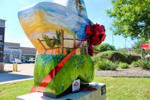 public-art-Ally Medical Emergency Room - Dripping Springs