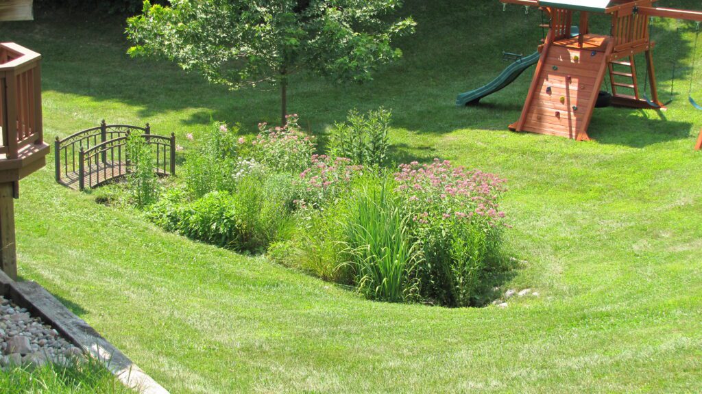 Creating a Rain Garden: A Greener Way to Manage Stormwater