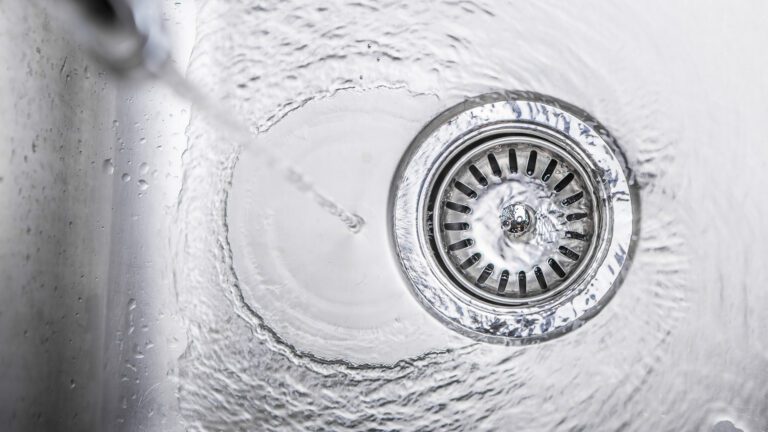 Summer Sink Survival Guide: What NOT to Put Down Your Garbage Disposal
