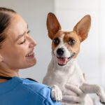 Anesthesia in Pets