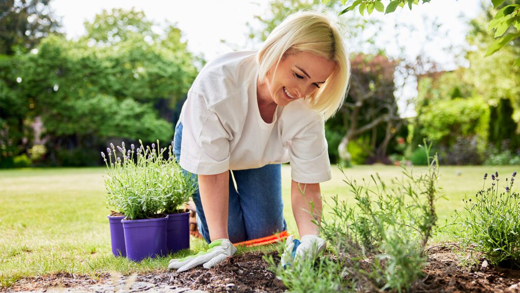 Protect Your Spine While Gardening