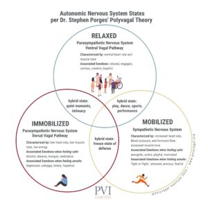 ANS diagram-New Approach Mental Health, PLLC