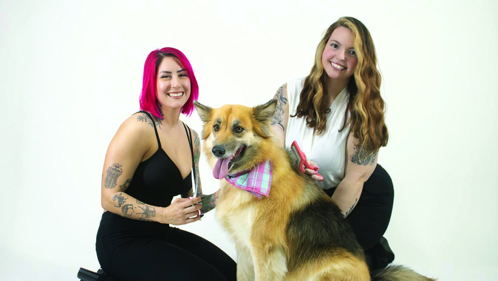 Protecting Your Dog from Fleas and Ticks This Summer