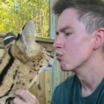 Beyond Cats and Dogs: What Every Exotic Pet Owner Should Know