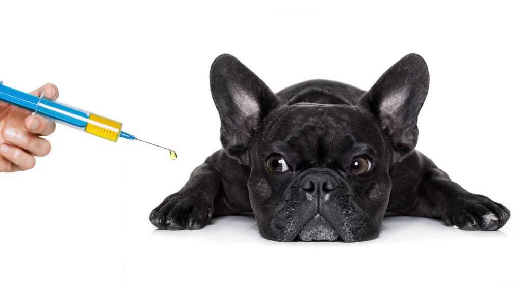 The Rise of Injectable Preventions
