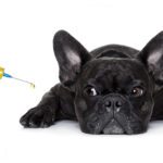 The Rise of Injectable Preventions