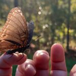 The Intelligence of a Summer Garden