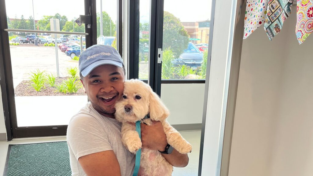How to Know If Your Dog Actually Likes Their Groomer