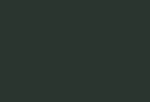 Essex Green from Ben Moore HC-Kessler Painting Corp