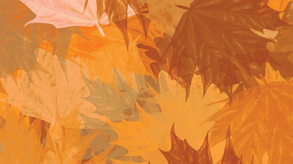 The Weekend Warrior’s Fall Safety Guide: How to Get Your Home Ready for Winter (Without a Trip to the ER)
