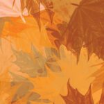 The Weekend Warrior’s Fall Safety Guide: How to Get Your Home Ready for Winter (Without a Trip to the ER)