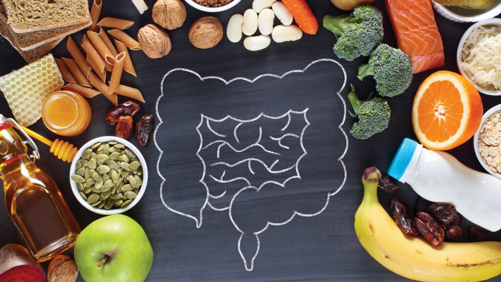 Designed to Thrive: Understanding the Intelligence of Your Body