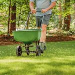 September’s Secret: Big Opportunities for Your Yard and Garden