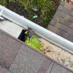 Fall Home Maintenance: Prepare Your Home Before Winter Weather Arrives