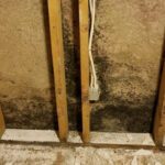 What’s That Smell? Dealing With Mold in Your Home