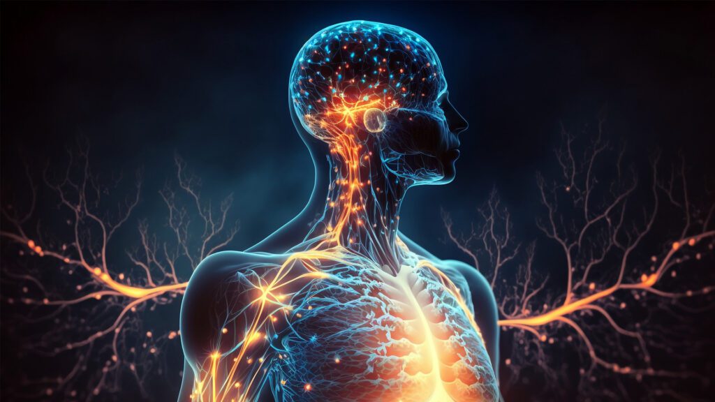 Why Your Gut Health Matters for Brain Health