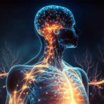Why Your Gut Health Matters for Brain Health