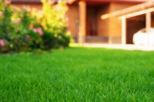 Lawn 4.-Architerra Incjpg