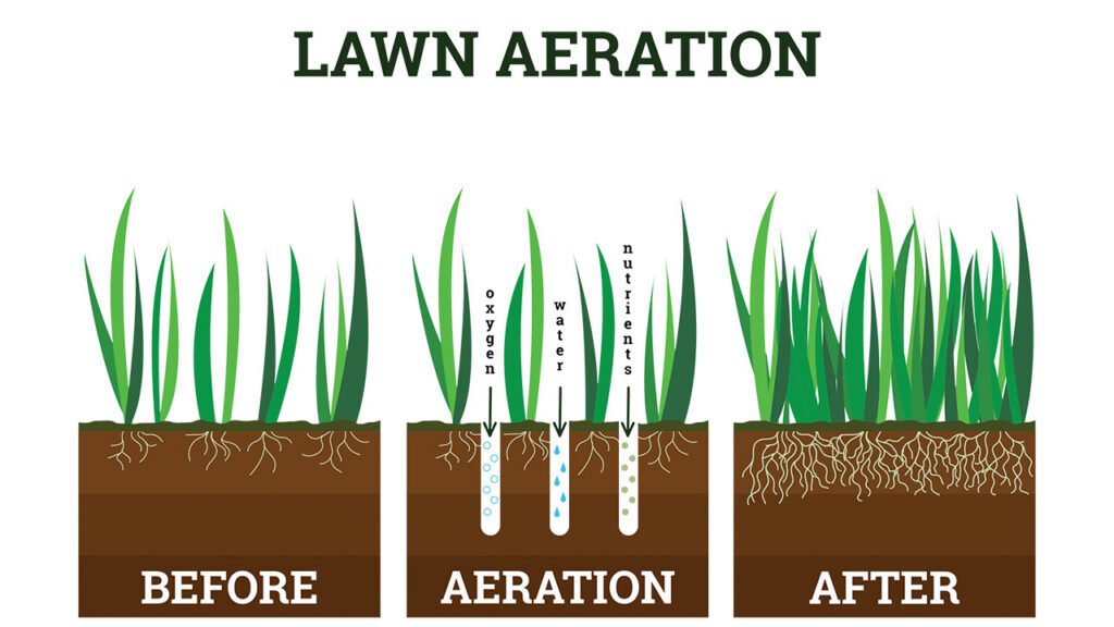 Lawn Aeration Graphic Crosscut Landscaping