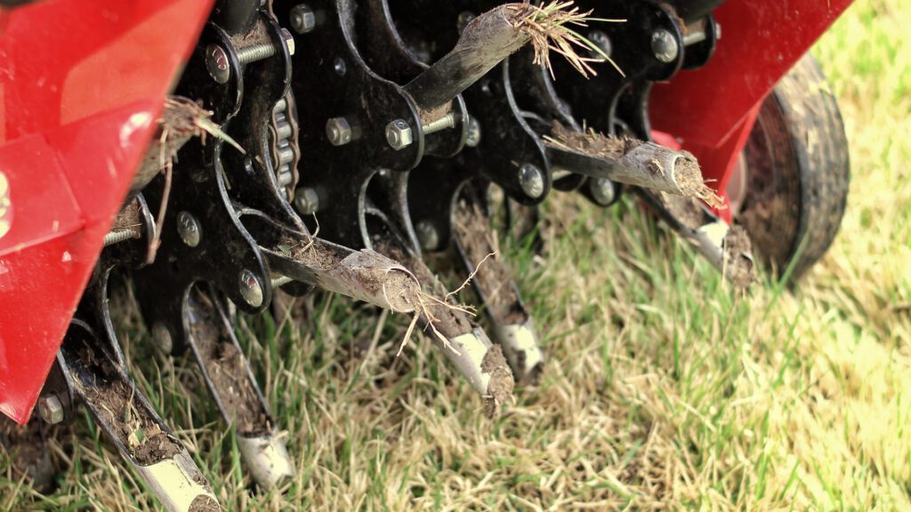 Breathing Life Into Your Lawn: The Secret to Thriving Grass in Warrenton