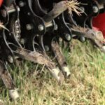 Breathing Life Into Your Lawn: The Secret to Thriving Grass in Warrenton