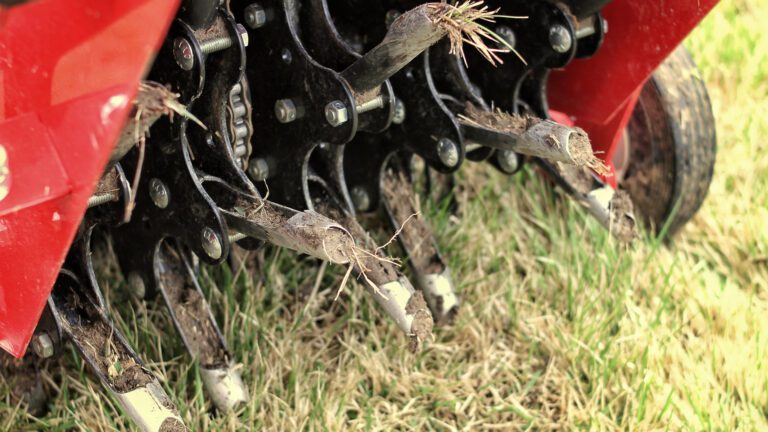 Breathing Life Into Your Lawn: The Secret to Thriving Grass in Warrenton
