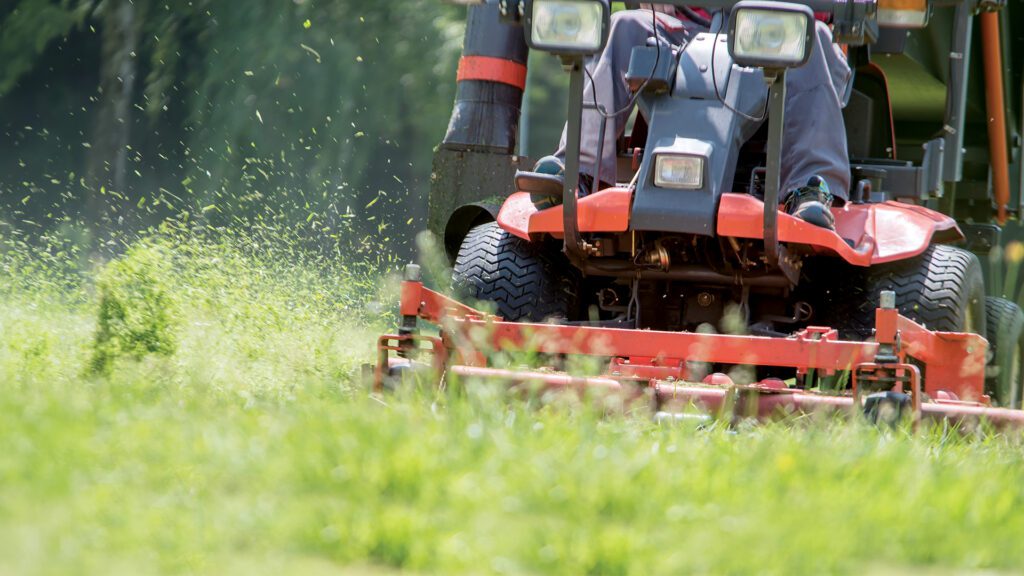 Expert Lawn Care Advice from Teague Tractor