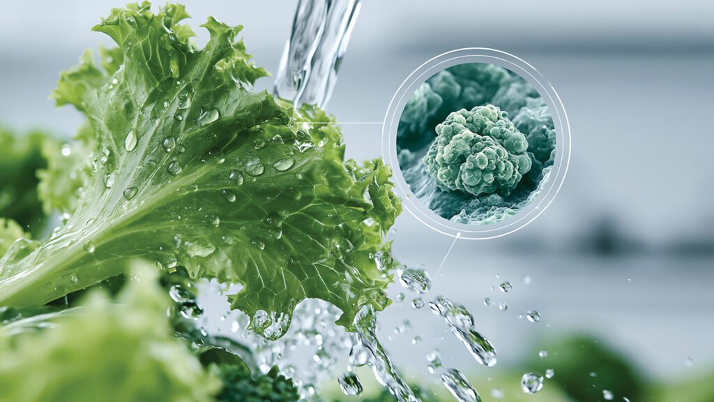 Intestinal cleansing post-parasitic invasion