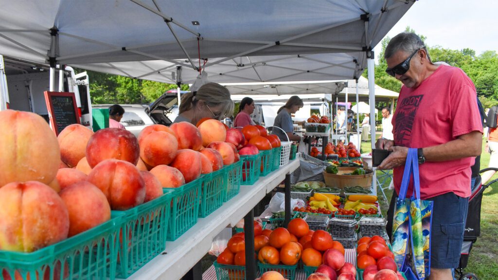 Auburn Parks and Recreation: August 2026 Happenings