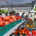 Auburn Parks and Recreation: August 2026 Happenings