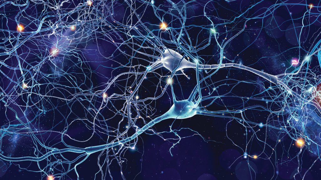 Looking Beyond Symptom Management: