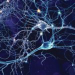Looking Beyond Symptom Management: