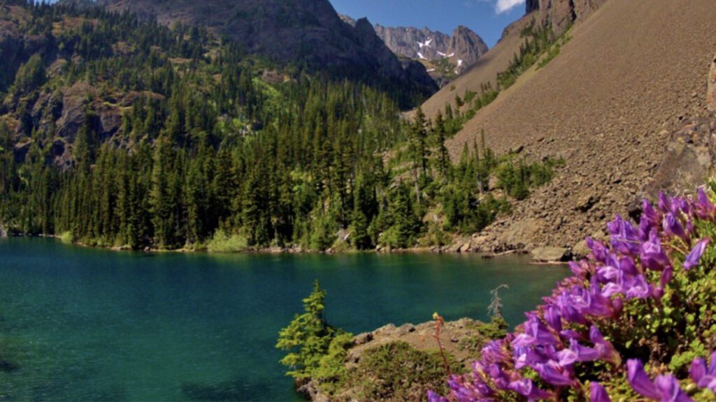 Oregon Burr Travel
