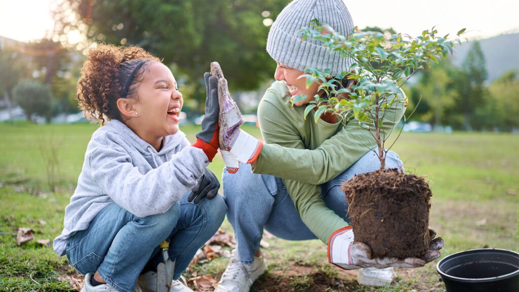 Planting Trees: Planning Today for a Greener Tomorrow