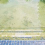Crystal Clear Doesn’t Always Mean Clean: The Hidden Truth About Pool Algae