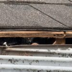Why Most “Lifetime” Roof Warranties Never Exist: What Every Homeowner Should Know