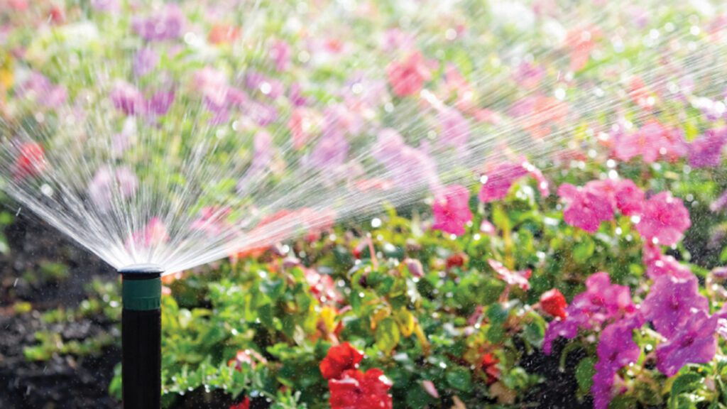 Beat the Heat: Smart Watering and Drought-Tolerant Landscaping for Northern Kentucky
