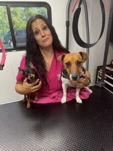 Two dogs-Fur Around and Find Out Mobile Dog Grooming